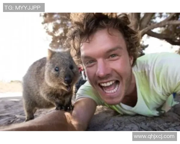 足球明星大头宝宝图片展现可爱与魅力的完美结合，球场外的萌趣瞬间